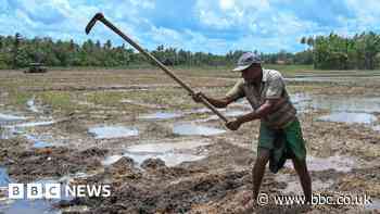 Sri Lanka gives government workers extra day off a week