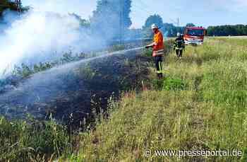 FW Celle: Böschungsbrand in Westercelle