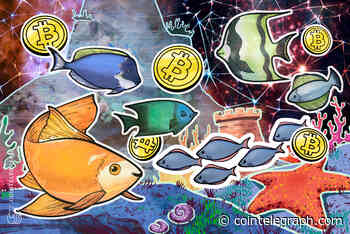 Large Bitcoin liquidations mean one man’s pain is another man’s pleasure — Time to buy the dip?