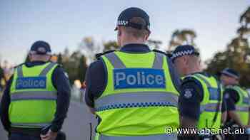 Live: NSW Now: Levels of violent crime involving weapons at historic lows, despite gangland murders