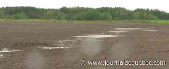 Pluies abondantes: Le nord du lac Saint-Jean n'est pas encore considéré comme une zone sinistrée