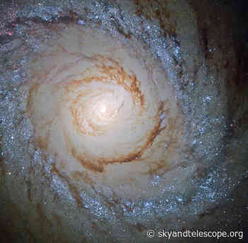 Life and Death in Nearby Galaxies