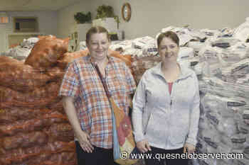 Thousands of pounds of potatoes up for grabs in Quesnel – Quesnel Cariboo Observer - Quesnel - Cariboo Observer
