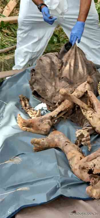 Ossada é encontrada em casa abandonada em bairro de Guarapari - ESHOJE - ES Hoje