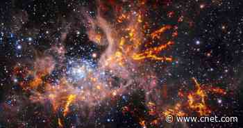 Astronomers Release Breathtaking New View of Tarantula Nebula's Glowing Web     - CNET