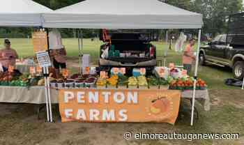 Millbrook Farmers Market Continues to Make an Impact with Large Crowds - Elmore Autauga News