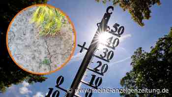 NRW erlebt erste Hitzewelle: Muss bald wieder Wasser gespart werden?