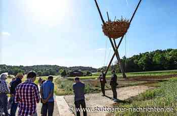 Im Maurener Tal bei Ehningen: „Sculptoura“-Nest ist wieder aufgerichtet - Stuttgarter Nachrichten