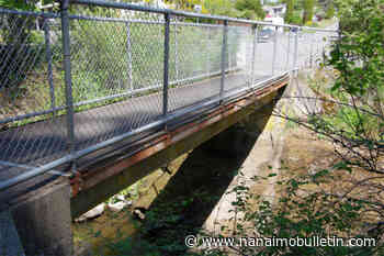 Nanaimo councillors, in tie vote, recommend cancelling bridge replacement in Bowen Park