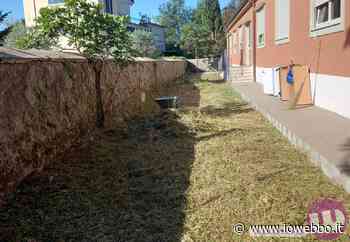 IOWEBBO - SORA CITTA' PULITA, AVANTI SENZA SOSTA - ioWebbo