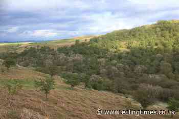 Funding to rewild and restore landscapes is 'essential', Government warned - Ealing Times