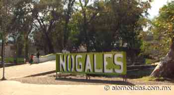 ¡Feliz separación! En Nogales Veracruz realizan jornada de Divorcios Colectivos - ..::ALOR NOTICIAS::..