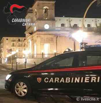 Catania, rifiuti in un terreno pubblico: un denunciato - Livesicilia.it