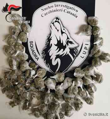 Catania, droga a domicilio in bicicletta: due arresti - Livesicilia.it