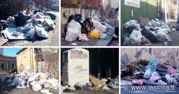 Rifiuti, Catania già piena di microdiscariche dopo la pulizia straordinaria per l'emergenza - La Sicilia