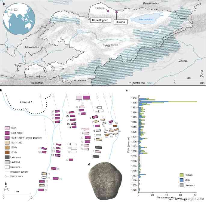 The source of the Black Death in fourteenth-century central Eurasia - Nature.com
