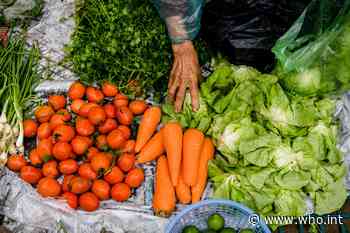 Workshop: Indicators for healthy diets from sustainable food systems - World Health Organization