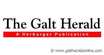 Smile Power Day gives every reason to grin - The Galt Herald