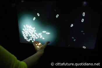 Arte interattiva a Modena, dalle mostre ai tour virtuali - Città Future - Quotidiano Nazionale