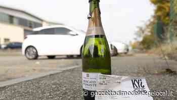 Modena, si allarga la protesta dei residenti a Baggiovara: «Kyi, deve intervenire Arpae» - La Gazzetta di Modena