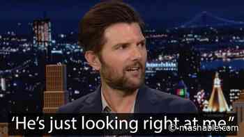 Adam Scott's story about meeting Al Pacino is hilariously awkward - Mashable