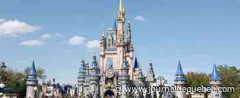 12 parcs Disney en jet privé pour seulement... 110 000 $