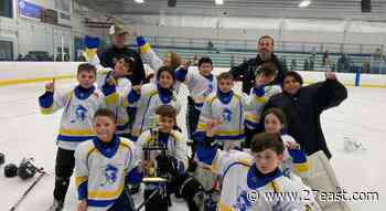 Local Youth Ice Hockey Team Dominates At Rhode Island Tournament - 27 East - 27east.com