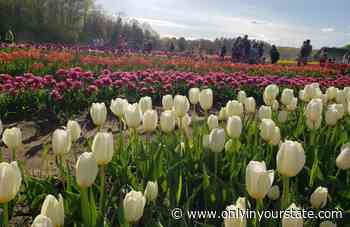 This State Park In Rhode Island Is So Little Known, You’ll Practically Have It All To Yourself - Only In Your State
