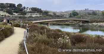 Love your lagoon: Discover restored San Elijo Lagoon with new trail connections - Del Mar Times