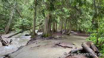 RDNO closes sections of BX Creek Trail due to flooding - AM 1150 (iHeartRadio)