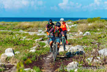 Trail Builders in Latin America Face an Uphill Battle, but These Two are Making it Work - Singletracks.com