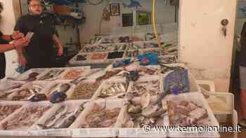 Dopo 3 settimane di sciopero torna il pesce fresco sulle tavole dei molisani - Termoli Online