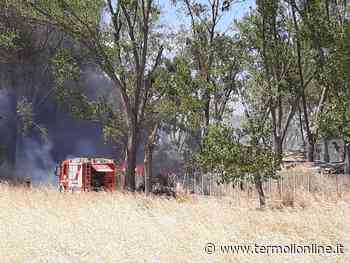 Scoppia l'emergenza incendi, fiamme al villaggio turistico Happy Family - Termoli Online