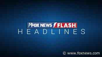 Drugs are back in the EU: 'Everywhere. Everything. Everyone'