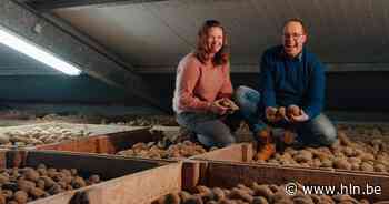 Aardappelbedrijf van Jasmien en Mathias deelt groene stroom met vier gezinnen - Het Laatste Nieuws
