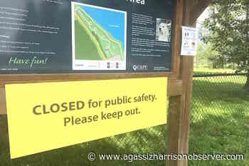 High water closes riverside trail at Island 22 park in Chilliwack until further notice – Agassiz Harrison Observer - Agassiz Harrison Observer