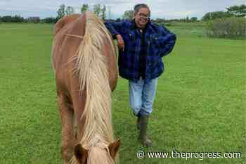 Tourism and travel industry pushed to embrace diversity and inclusion measures – Chilliwack Progress - Chilliwack Progress