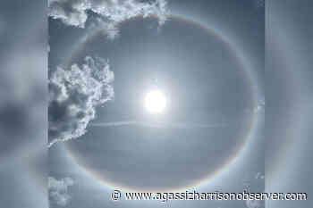 'What an interesting phenomenon': Chilliwack teacher, students spot sun halo – Agassiz Harrison Observer - Agassiz Harrison Observer
