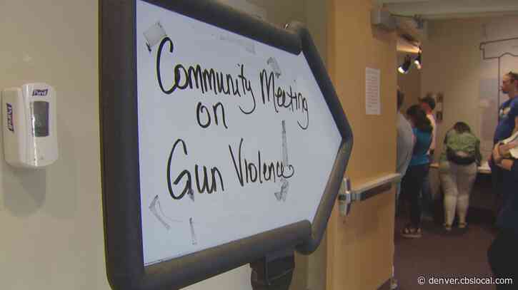 DPD’s District 1 Hosts Meeting On Growing Violence: ‘It’s Just Terrifying’