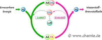 LIKAT-Forscher und APEX entwickeln eine Wasserstoff-Batterie