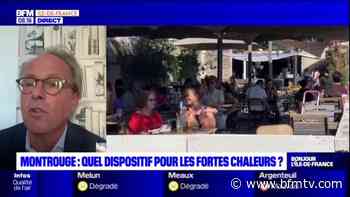 Montrouge: le plan canicule déclenché depuis le 1er juin - BFMTV