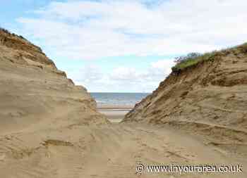 Sefton Coast column: Dune notches created to help specialist species thrive on the coast - In Your Area