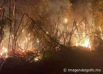 En ardua tarea, bomberos de Misantla sofocan incendio - Imagen del Golfo