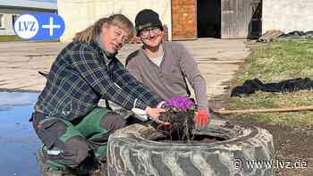 Ein Tag in der Gärtnerei der Lebenshilfe Oschatz - Leipziger Volkszeitung