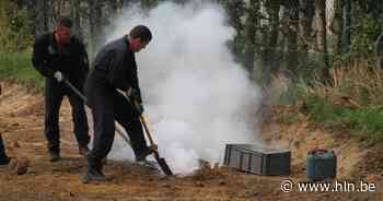Fosforbom uit Tweede Wereldoorlog opgedoken bij graafwerken in Maasmechelen - Het Laatste Nieuws