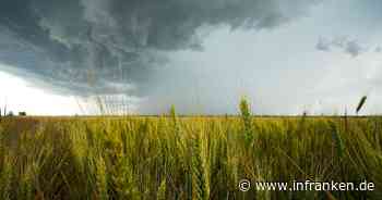Bericht: 4,3 Milliarden Schaden für Agrarsektor der Ukraine