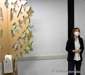 Enna – "Oncologia: integrazione Ospedale territorio" sabato 18 giugno - Dedalomultimedia