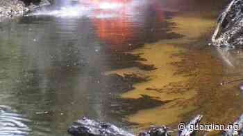 Delta community accuses Chevron, NPDC, others of polluting water - Guardian Nigeria