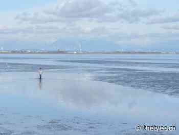 When Delta Floods, Make It a Double - TheTyee.ca