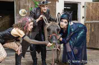 Im Dickicht großer Gefühle - Fränkische Nachrichten